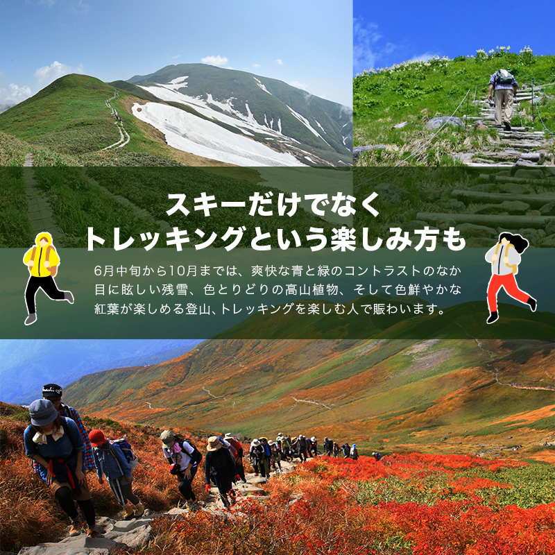 FYN6-542 月山スキー場ペアリフトで使える リフトご利用券 45000円分