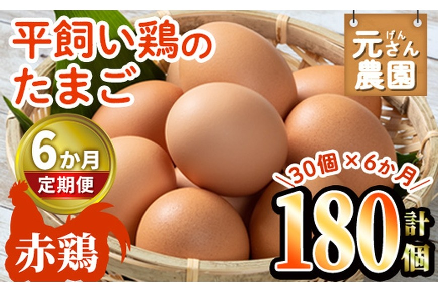 定期便・全6回 (連続)＞平飼い赤鶏のたまご (総量180個・S-Mサイズ30個