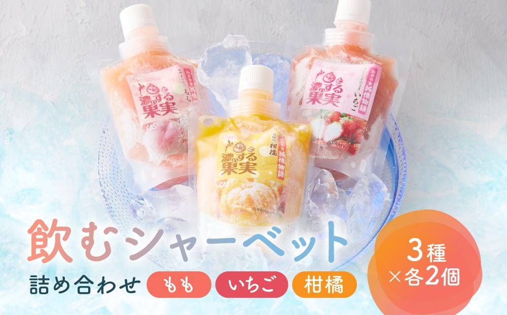 CAS凍結 和歌山県産 飲む シャーベット 詰め合わせ 約150g × 6個