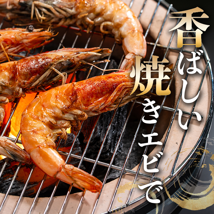 薩摩橙王エビ(4尾入×2パック) 国産 鹿児島県産 阿久根市産 えび 海老
