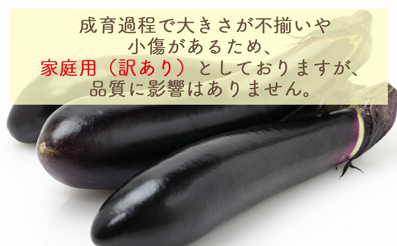 2026年10月中旬以降発送】長なす 3kg 家庭用 yr-0072（高知県香南市