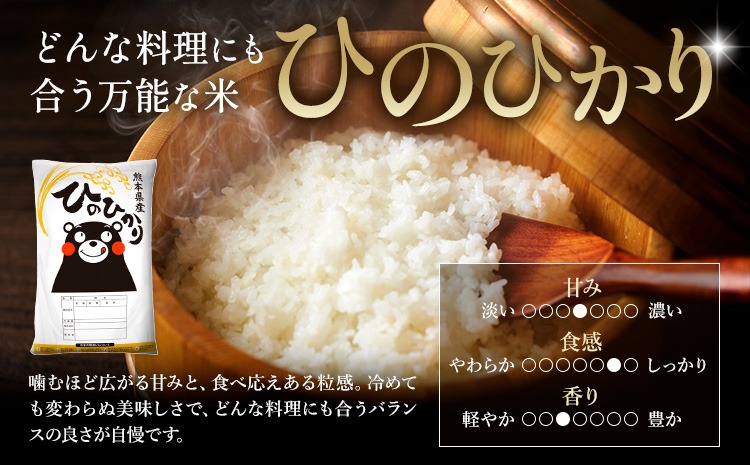 令和7年産 米 無洗米 ひのひかりこしひかり 食べ比べ 選べる 10kg 20kg