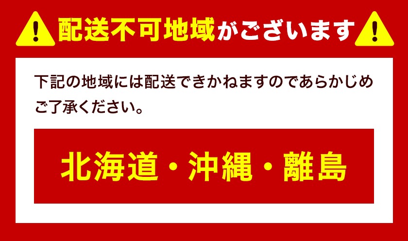 新登場☆ トウモロコシ 味来 【収穫後当日出荷！】 夏祭り 選べる 約