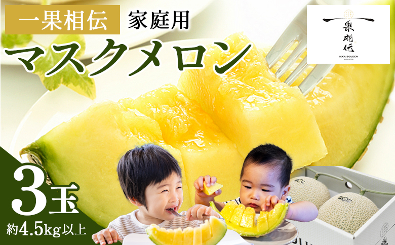 メロン 【発送開始】一果相伝マスクメロン家庭用 3玉入り - 果物