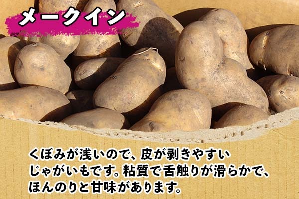 北海道十勝産メークイン（じゃがいも） 71h0MioIotL._UF350,350_QL50_.jpg