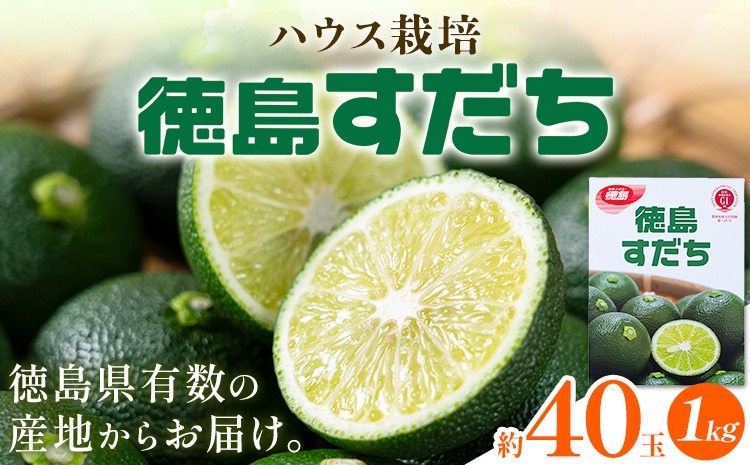 先行予約 ＞ 生産量日本一 徳島県産 ハウスすだち 1kg《2026年6月中旬 