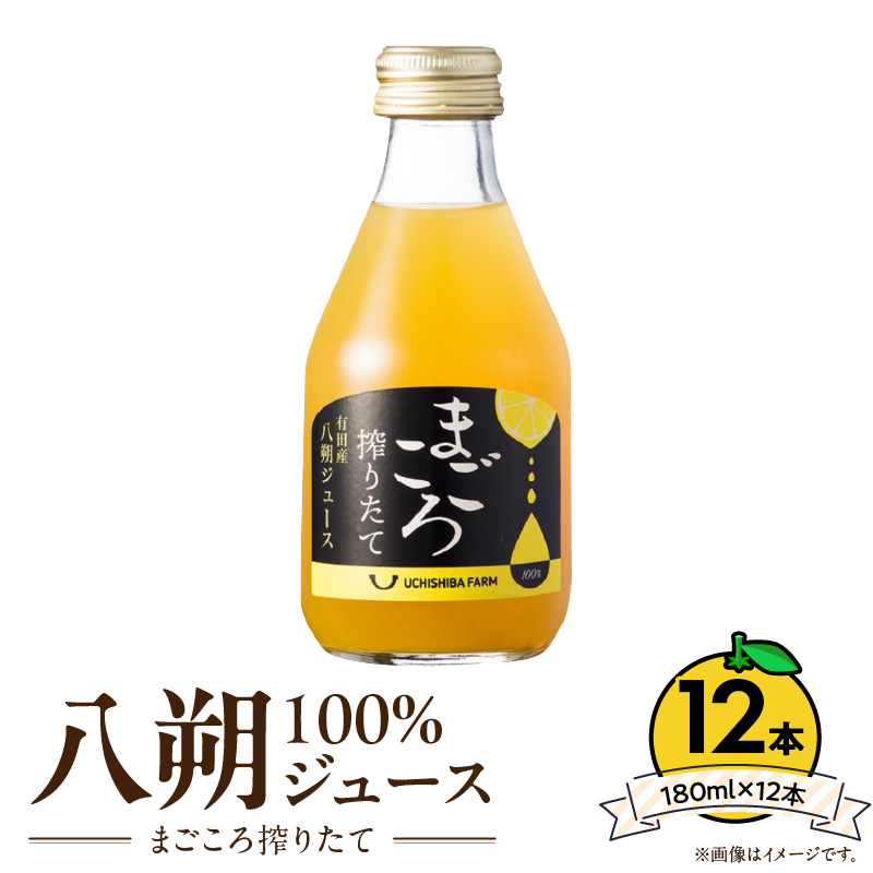 まごころ搾りたて】八朔ジュース 100％ 180ml×12本_ZE6427（和歌山県