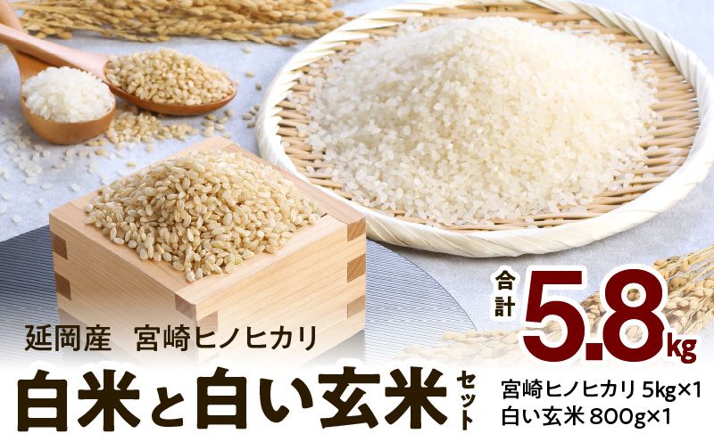 令和6年宮崎県産ヒノヒカリ 玄米20kg 楽天市場】【在庫限り販売 数量