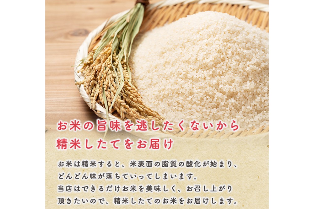 定期便2ヶ月》令和7年産【無洗米】 あきたこまち 10kg（5kg×2袋