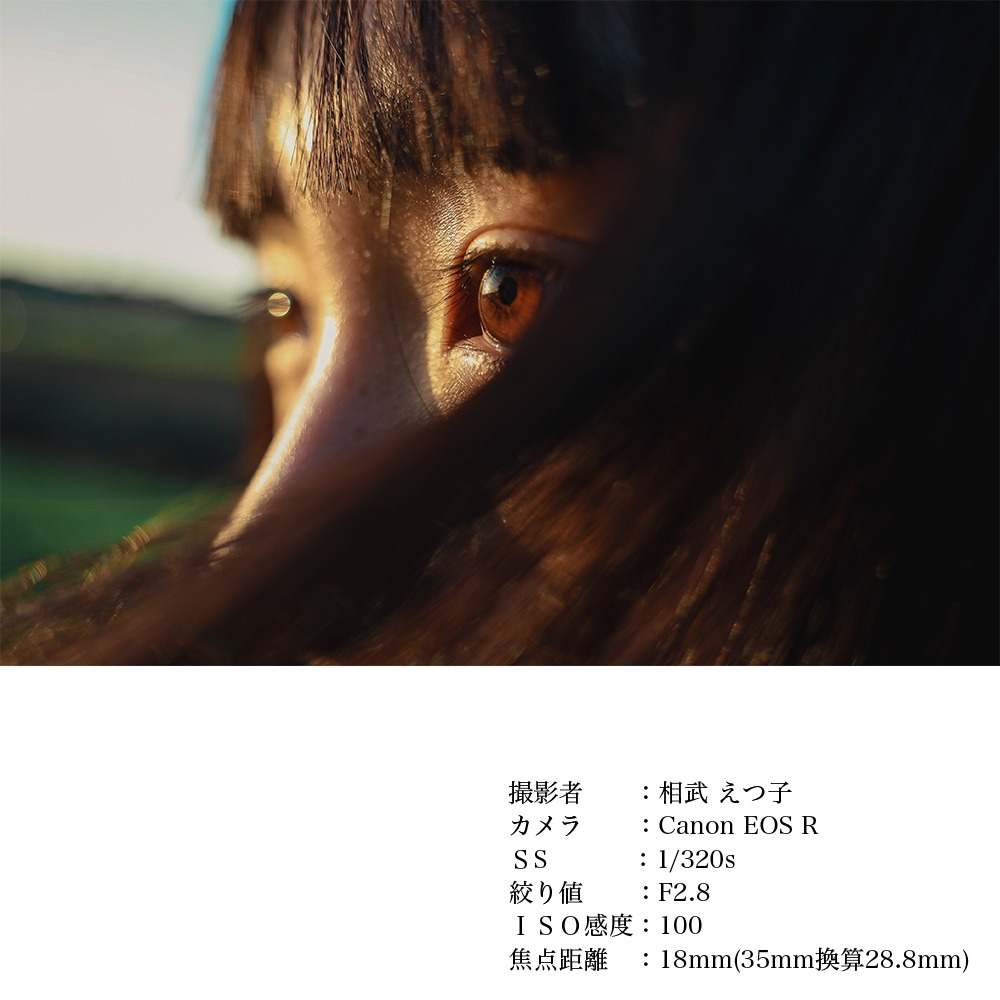SIGMA 18-50mm F2.8 DC DN｜Contemporary【Lマウント】カメラ レンズ