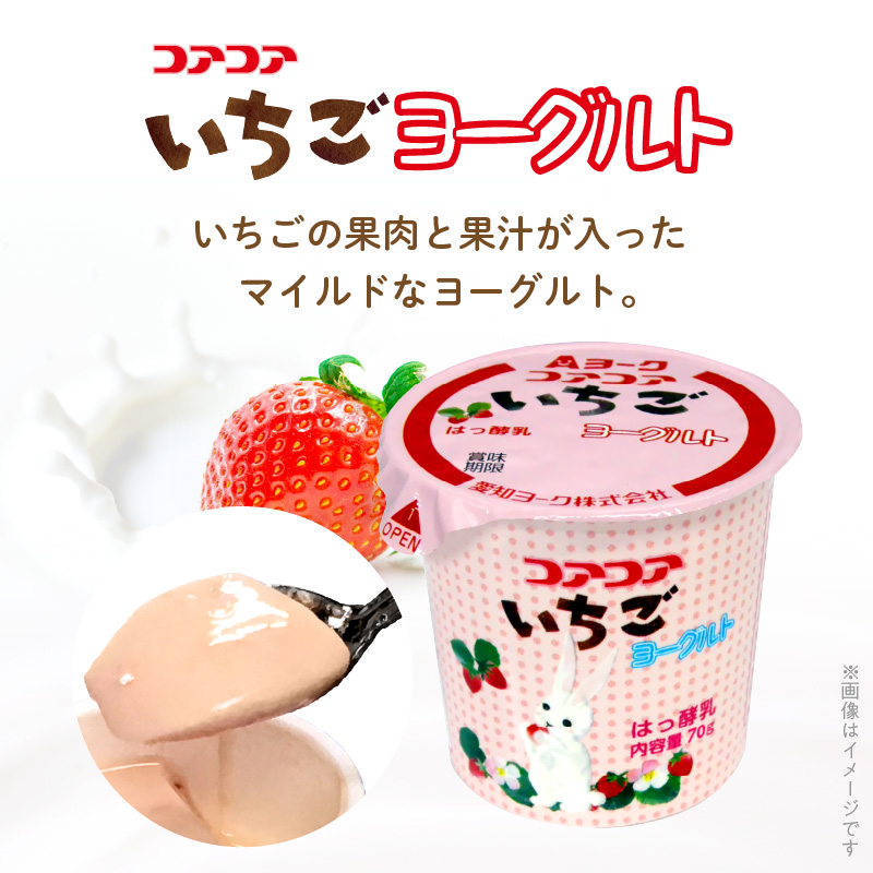 ヨーグルト 3ヶ月定期便】愛知ヨーク コアコアヨーグルト＆国産ゼリーセット 16個