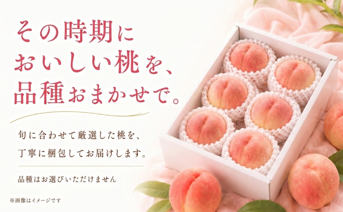 FB001 【2026年 先行予約】日本一の産地山梨県産 朝採れ桃約2kg(5