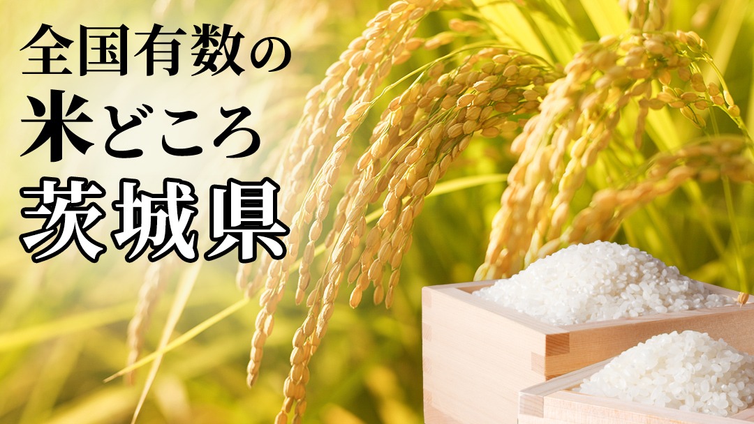 選べる品種・発送時期 ／コシヒカリ・品種おまかせ・5kg 10kg 15kg