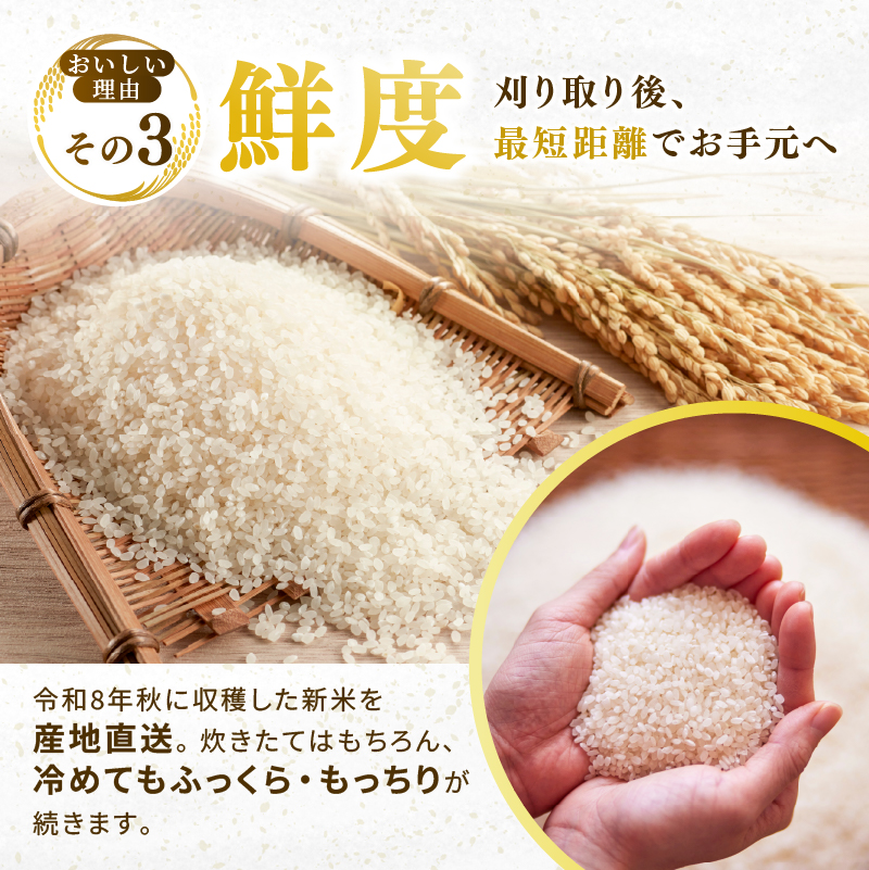 ひとめぼれ 定期便3回/5kg×2袋 令和8年産 新米 先行予約 宮城県産 米
