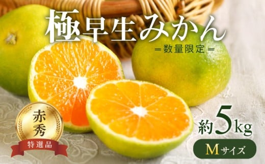 2026年先行予約】 極早生みかん 5kg 赤秀 Мサイズ【ミカン 蜜柑 柑橘