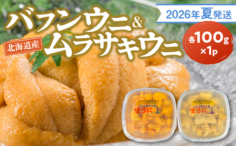 塩水ウニ2P 出荷中】北方四島産 塩水ウニ 生ウニ バフンウニ 200g (100g×2P