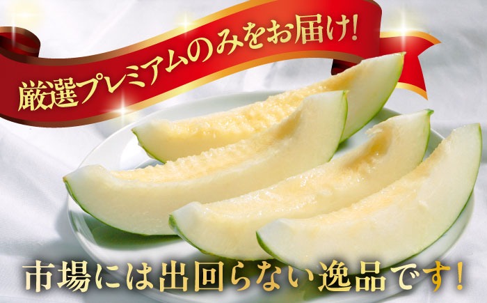 2026年3月中旬〜発送】【平成新山メロンPREMIUM（とみちゃん厳選