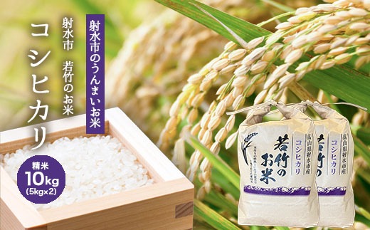 射水市】【射水の美味しいお米】若竹のお米 R8年度産 コシヒカリ10kg
