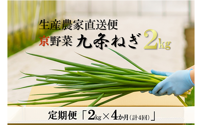 4か月定期便】生産農家直送 京野菜・九条ねぎ2kg〈定期便 ねぎ ネギ 葱