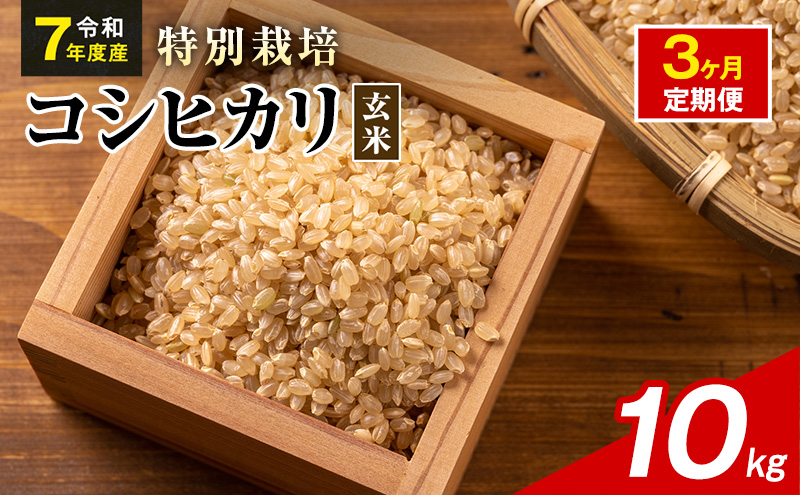 令和7年産 特別栽培米 コシヒカリ 玄米 10kg 静岡県産 色彩選別済 食に