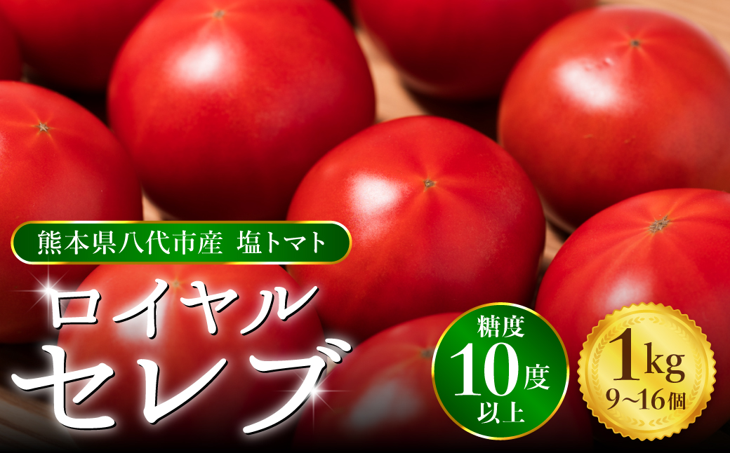 【熊本県産】新鮮 フレッシュ トマト 約20kg 家庭用 規格外品 楽天市場】熊本県産 トマト 等級A・S〜Mサイズ（24〜28玉入） 約