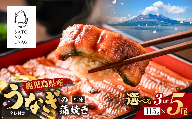 選べる3or5尾＞鹿児島県産うなぎ蒲焼（1尾115g以上） K379-001_SKU