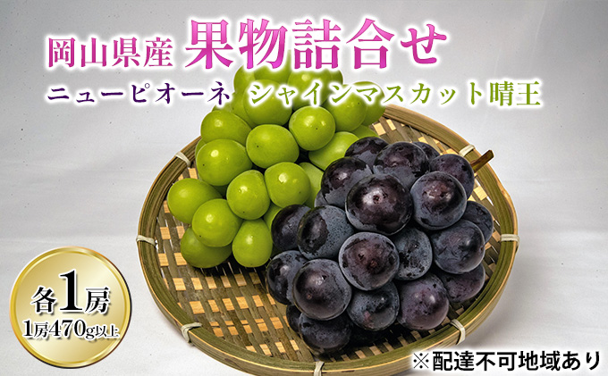 ぶどう 2026年 先行予約 果物 詰合せ ニュー ピオーネ 1房（1房470g