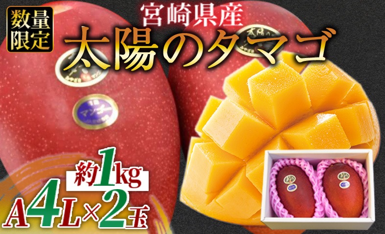 c1911422-81b7-43c2-94c6-