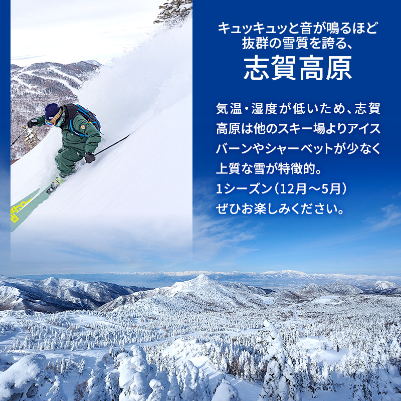 2026-27 志賀高原スキー場共通リフト券 1日券1枚 【スキー場 共通