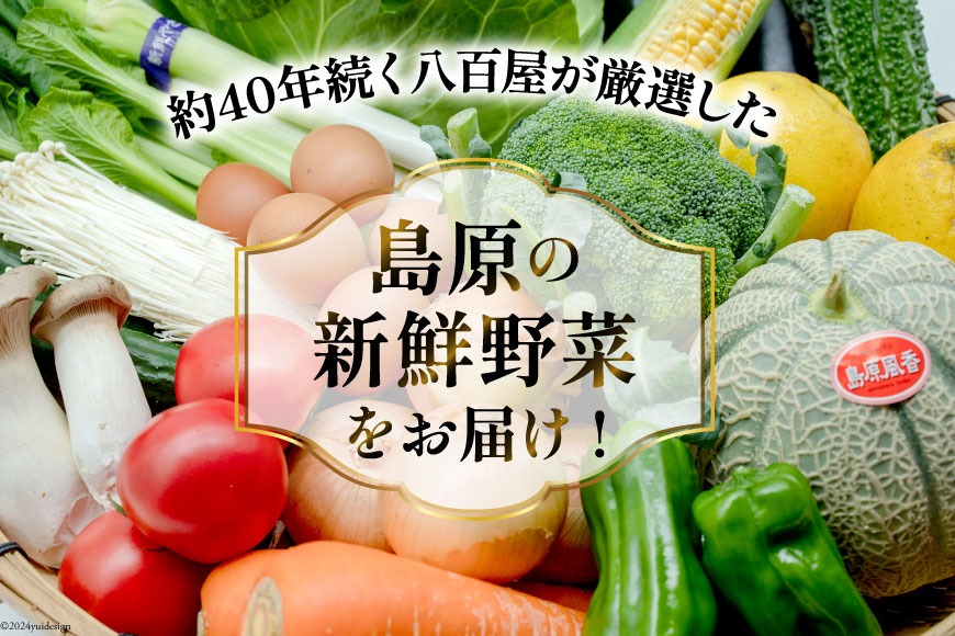 BF057 【3回定期便】旬の野菜・フルーツ (12〜14品目)・卵 (6個