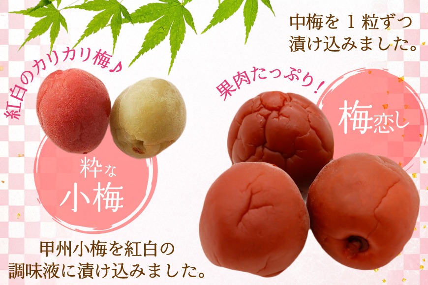 梅干し 粋な小梅 15個 & 梅恋し 10個 [山梨農産食品 山梨県 韮崎市 