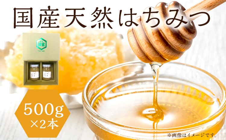 はちみつ 国産 蜂蜜 ハチミツ 1kg 国産 天然 はちみつ 500g×2本 計1kg