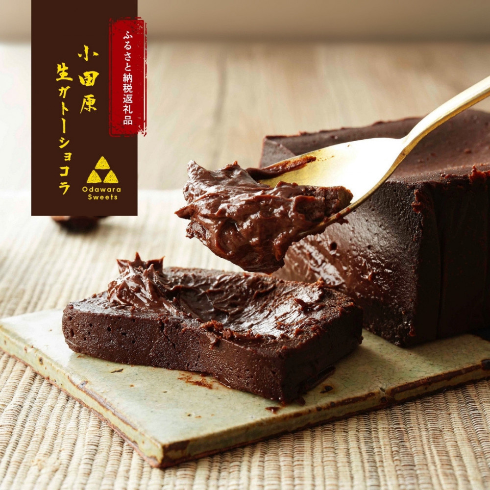 極上の口溶け。幸せの生ガトーショコラ 450g 【 高級 濃厚 極上