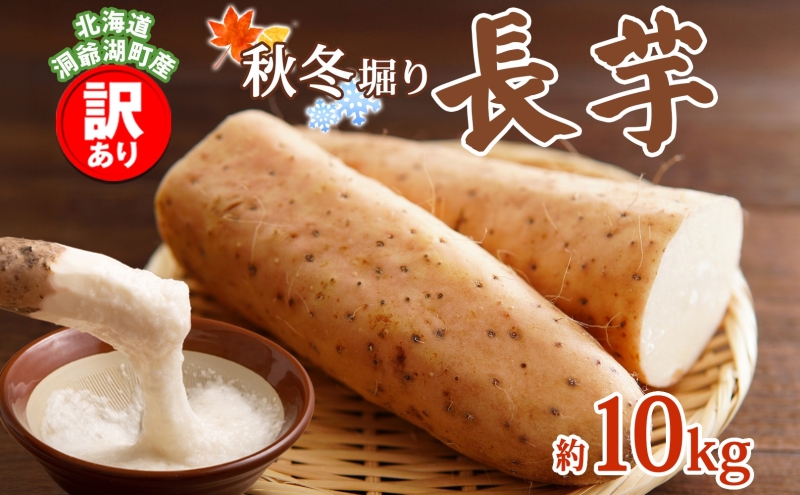 洞爺湖町産 訳あり 長芋 約10kg 2026年12月上旬から順次お届け 長いも