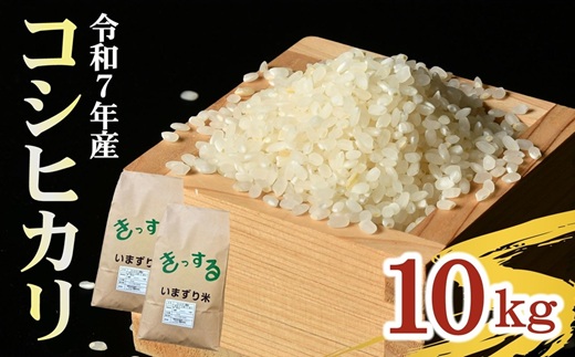 コシヒカリ 精米 10kg (5kg×2) ( 米 お米 こめ コメ おこめ 白米 精米
