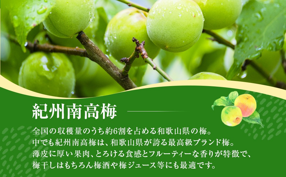 青梅 4kg 紀州南高梅 シロップ・梅酒・梅干し用等 和歌山県有田産 訳