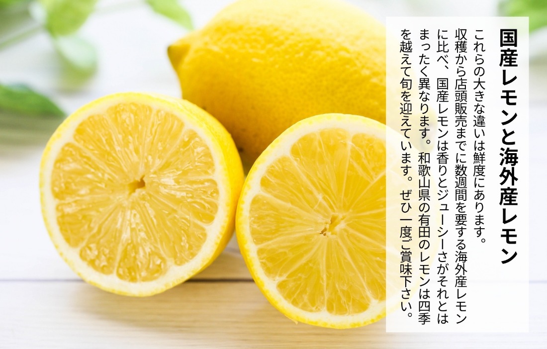 レモン 小玉 国産 箱込2.5kg(内容量約2.3kg) 秀品 S M L サイズ