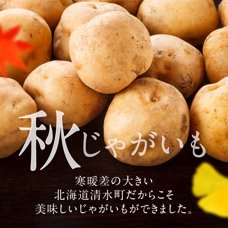 先行受付！ホクホク！しっとりなめらか！ 北海道産 男爵 いも