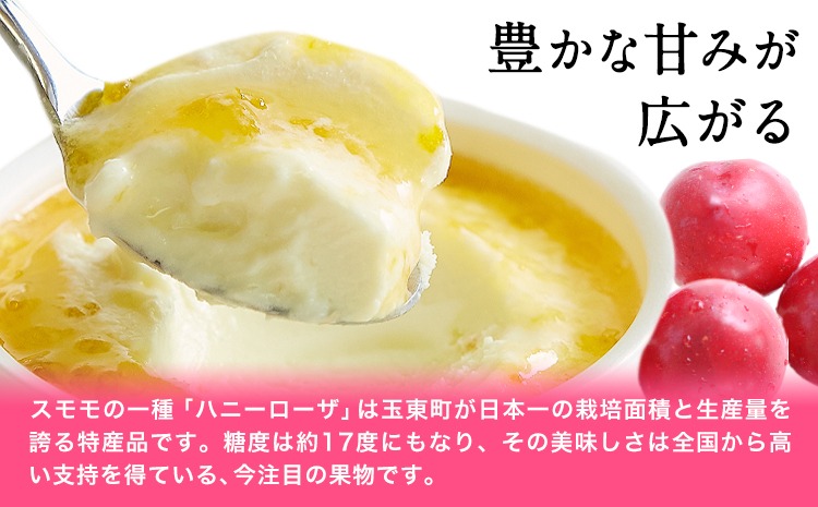 糖度17%★本州クール送料込み【激レア ハニーローザ入り】旬の果実セット 家庭用 糖度17度の甘さ♪ハニーローザアイスクリーム 120ml 6個 熊本県 玉名郡
