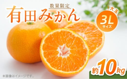 2026年先行予約】 有田みかん 大玉 3Lサイズ 10kg 【ミカン 蜜柑 柑橘