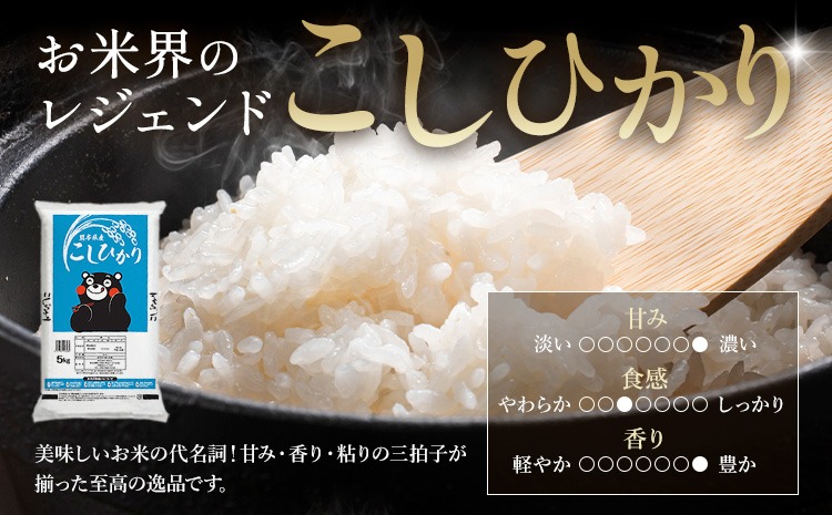 令和7年産 米 無洗米 ひのひかりこしひかり 食べ比べ 選べる 10kg 20kg