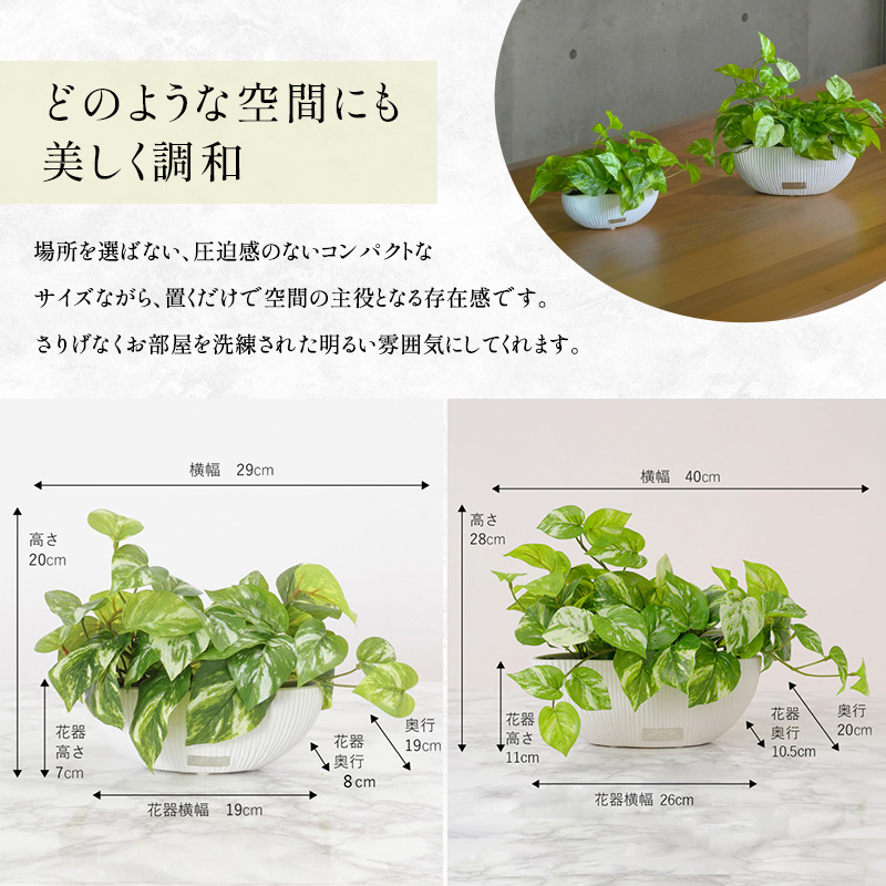 観葉植物 エミリオ・ロバ ポトス 2点セット 造花 Lサイズ Sサイズ つる