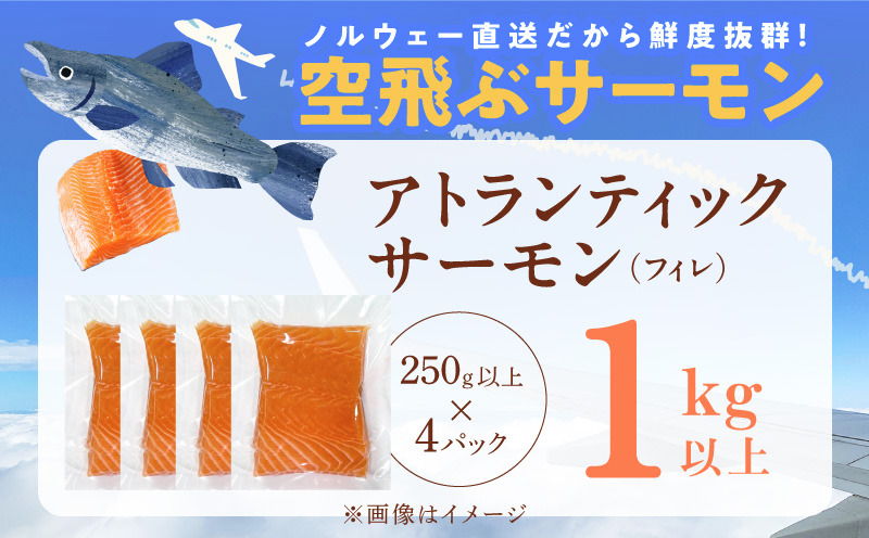 【美品】サバイバル20冊セット　送料込み 015B474 アトランティックサーモン 総量 1kg以上【フィレ エコパック