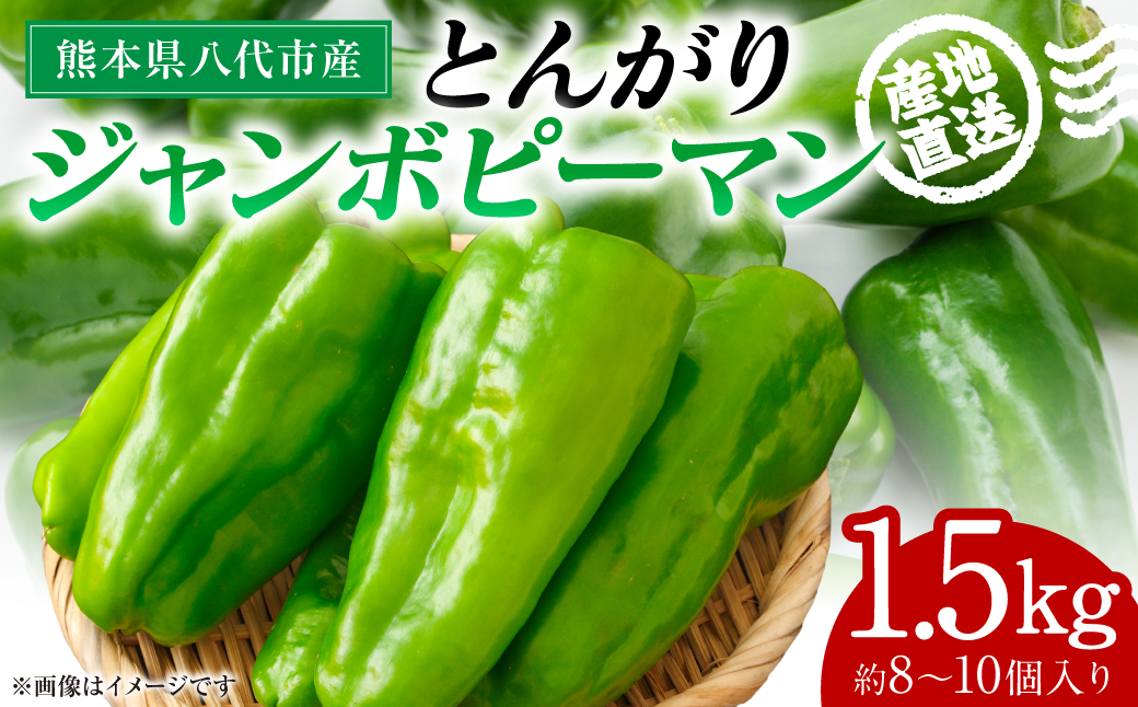 産地直送 とんがりジャンボピーマン 1.5kg 野菜 やさい 野菜炒め