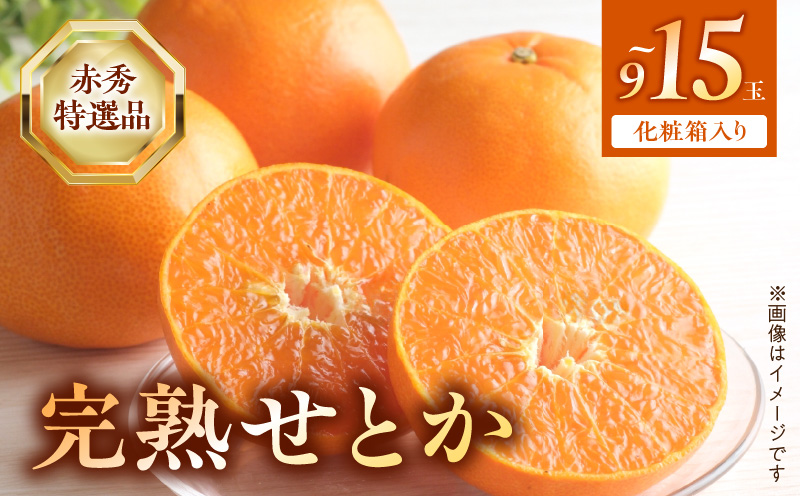 2027年先行受付】完熟 せとか 赤秀 特選品 9～15玉 化粧箱_BF6048n