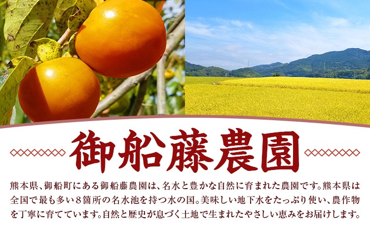 先行予約】昔ながらの 干し柿 選べる内容量 8個 または 16個 柿 果物