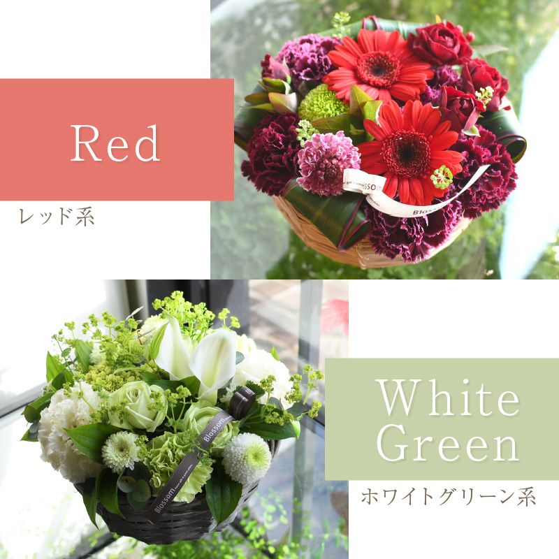 c6c96d12-aedb-4378-b927-