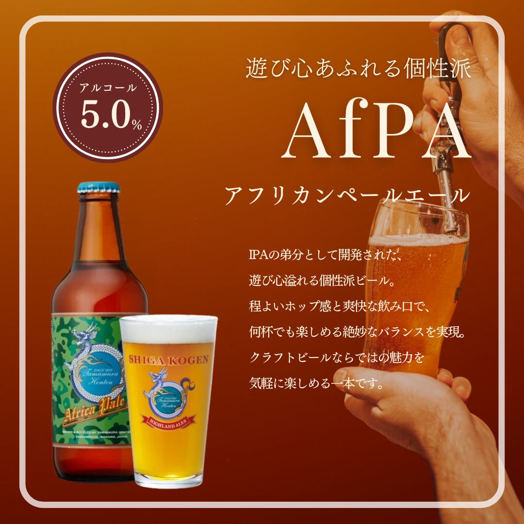 玉村本店 志賀高原ビール12本セット 【 クラフトビール 志賀高原ビール