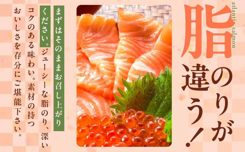 010B1647 アトランティック サーモン 400g 小分け 200g×2パック