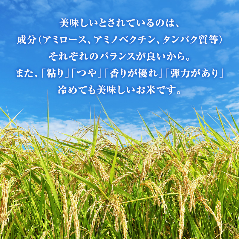 令和7年産 特別栽培米 コシヒカリ 玄米 3kg 静岡県産 色彩選別済 食に